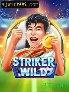 Descubra o Mundo Aventureiro de StrikerWILD
